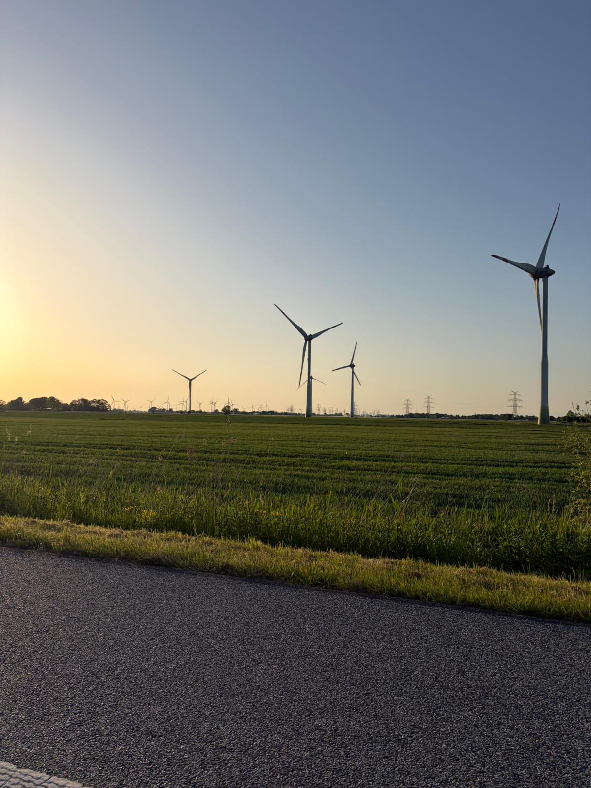 Weite Felder mit Windrädern im Abendlicht bei Brunsbüttel
