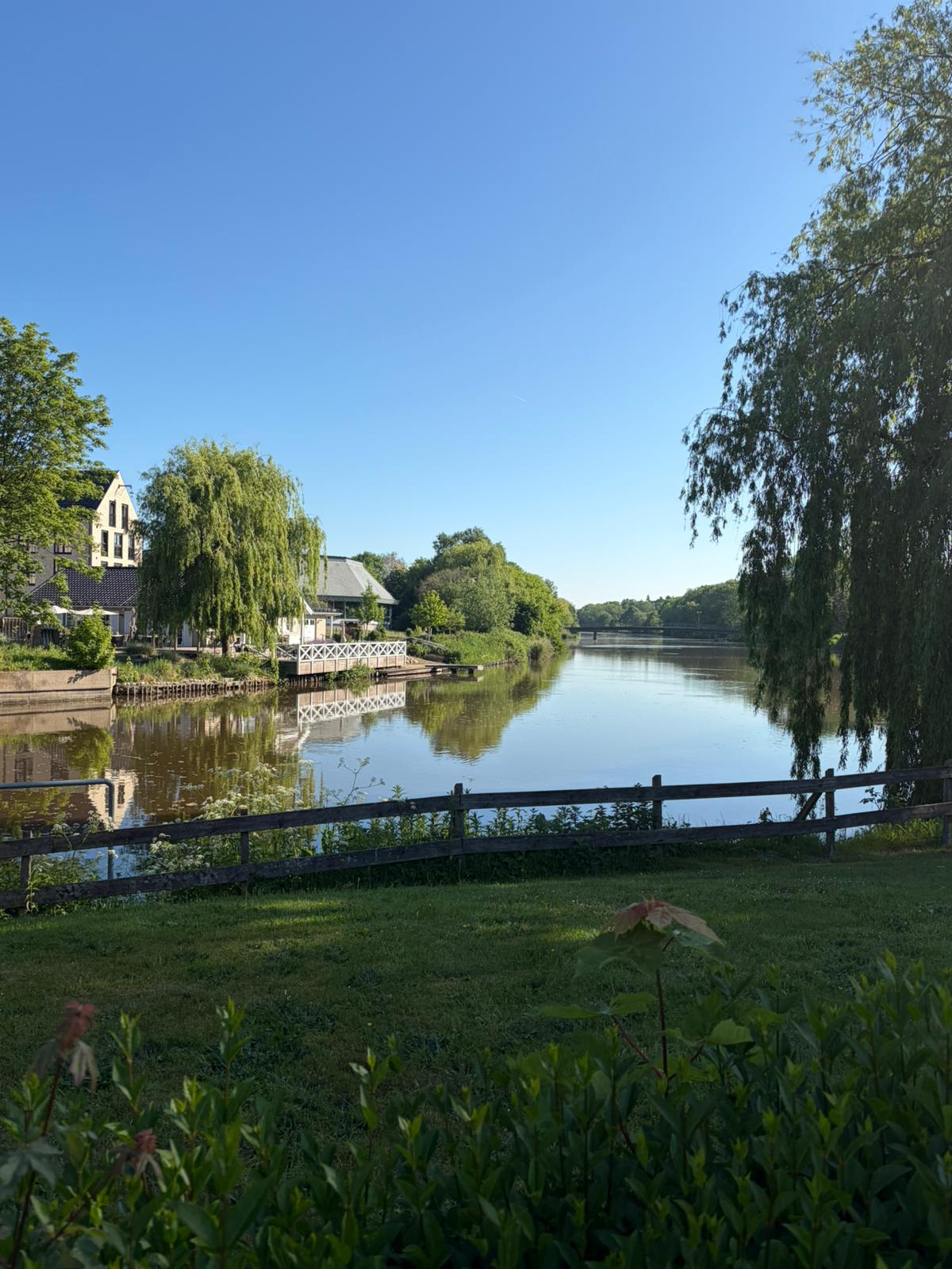 Idyllische Flusslandschaft mit Trauerweiden