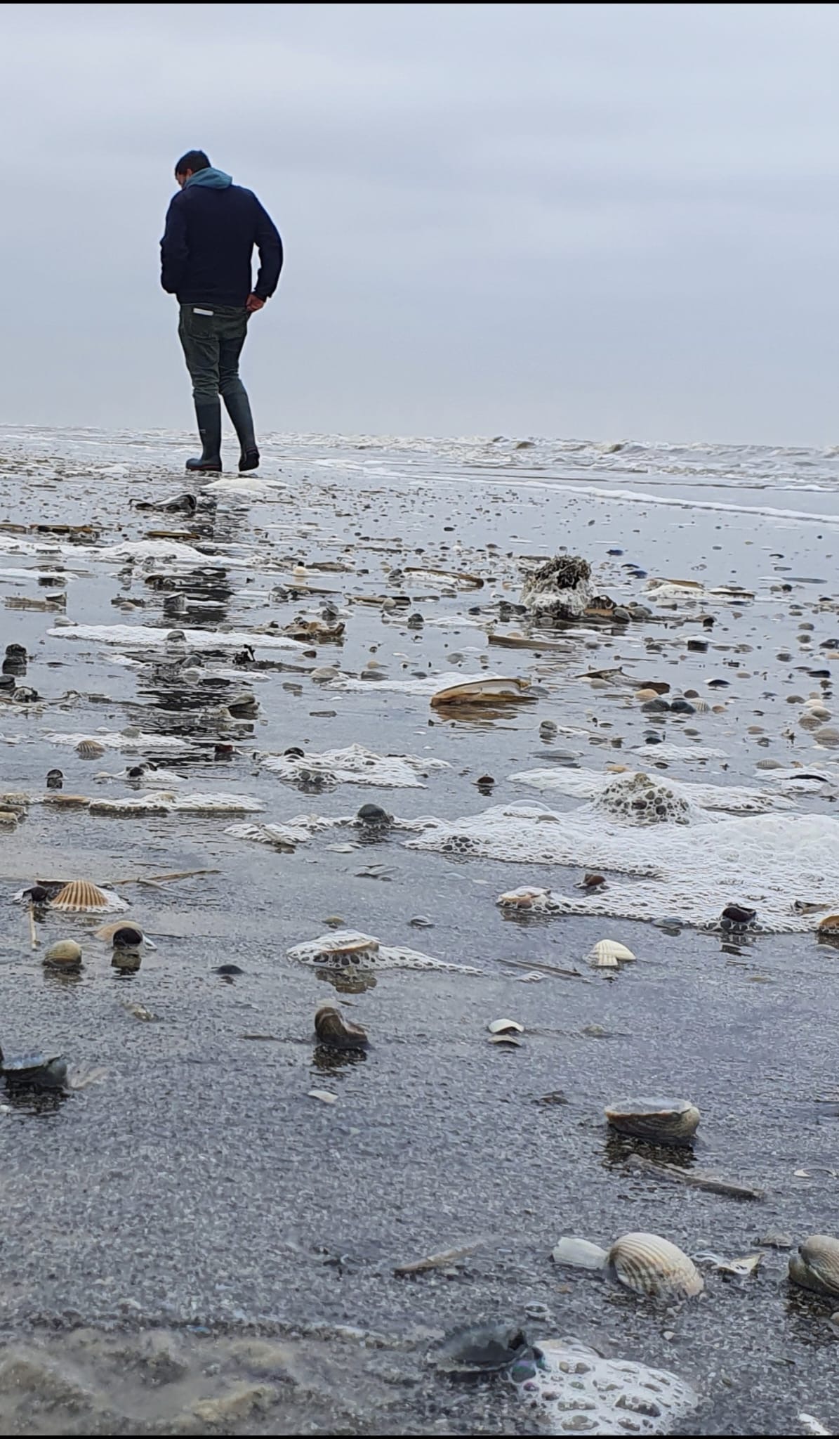 Wattwanderung im Nationalpark Wattenmeer